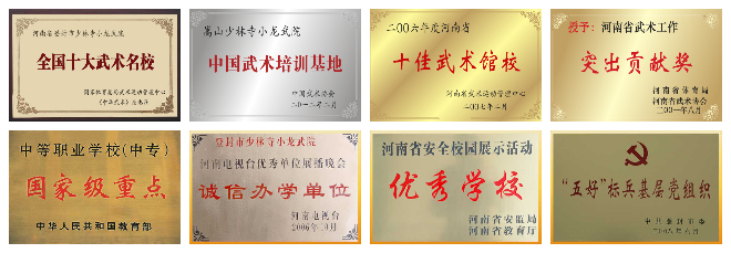 這么多家少林武校哪家正規(guī)?到底哪家是真的?如何分辨?【十佳武?！?>
  <h3><a href=