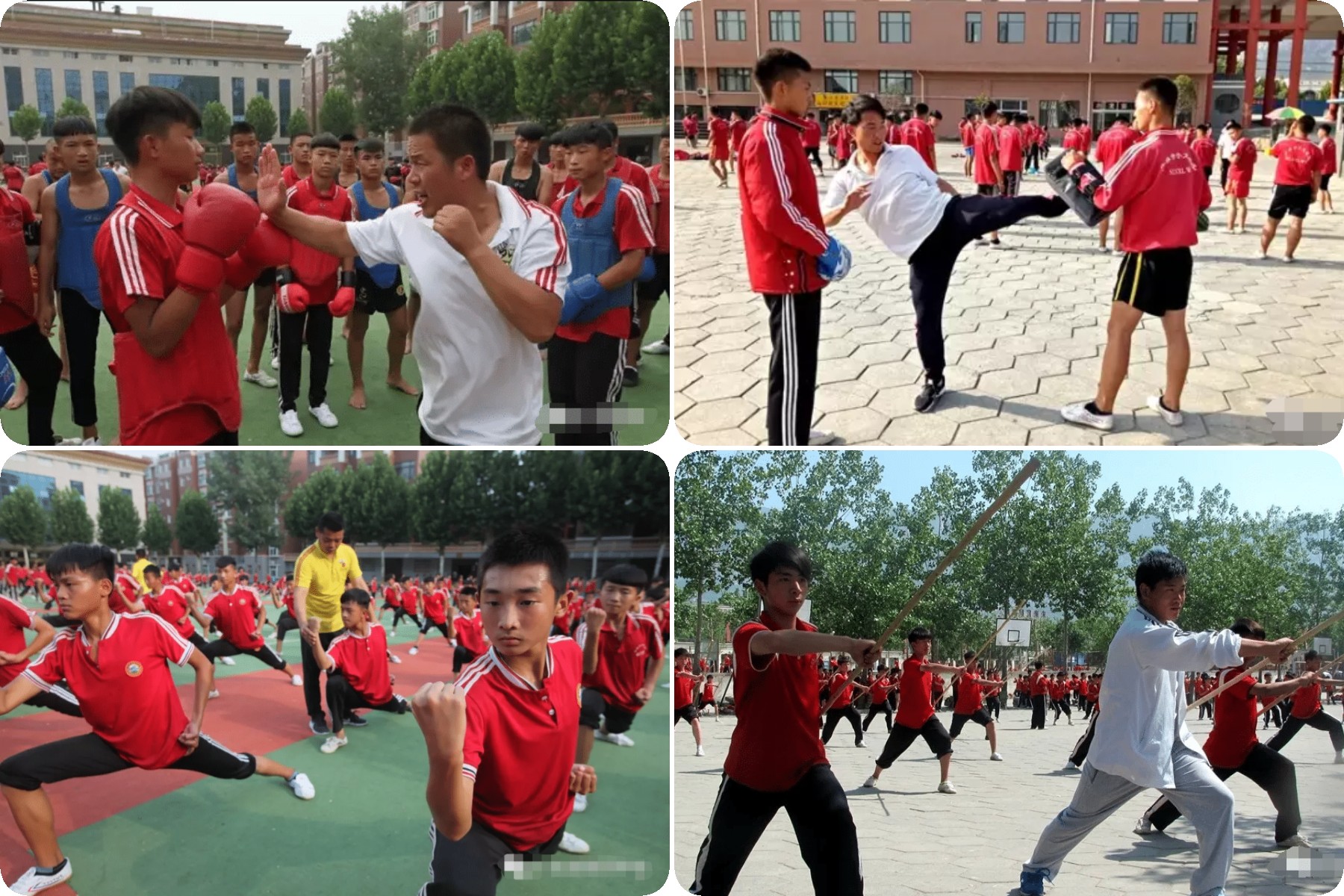 河南少林文武小學(xué)怎么樣？少林學(xué)校學(xué)文化課嗎?
