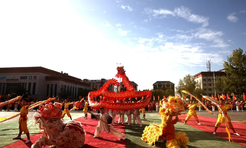 河南武術(shù)學校?地址在哪里?