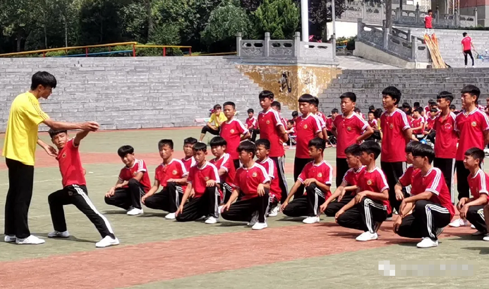 河南嵩山少林武校學(xué)費(fèi)是多少錢?