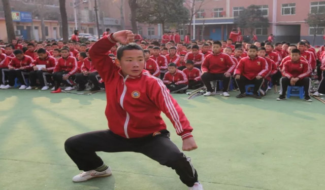 河南省少林武術(shù)學(xué)校排名怎么樣？