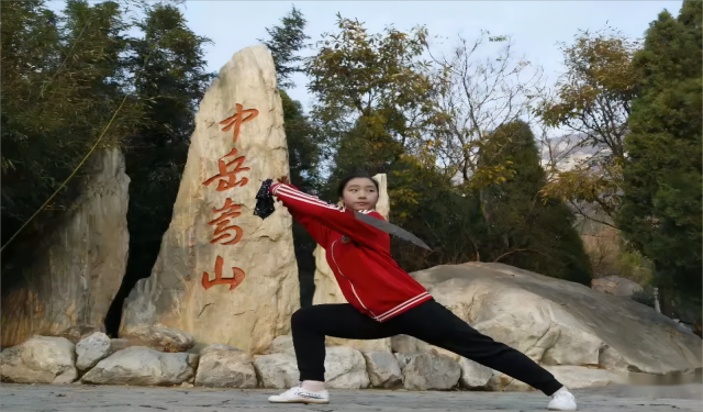 河南省嵩山少林武術(shù)學(xué)校