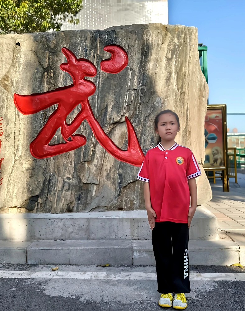 少林小龍武校8歲萌妞袁如蝌的紫發(fā)卡與她的武術(shù)夢(mèng)
