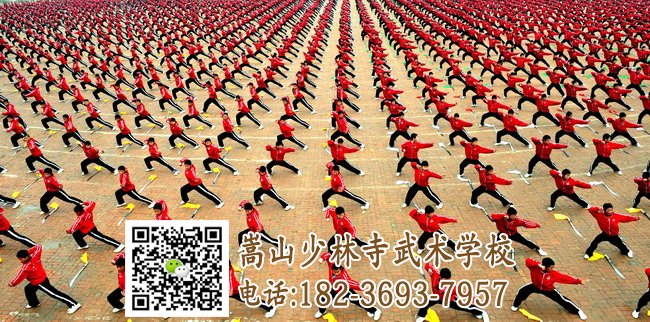少林武術學校的學員在練武