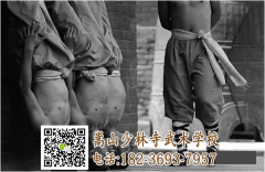 16歲還能去少林武校學習武術嗎？學費是多少呢？