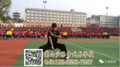 嵩山少林武術(shù)學(xué)校學(xué)員畢業(yè)包分配工作嗎？