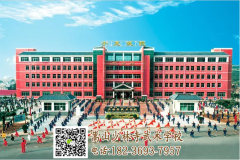 想到少林武術(shù)學(xué)校學(xué)功夫都有哪些要求？