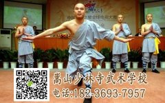 嵩山少林文武學(xué)校每年的收費標(biāo)準(zhǔn)多少
