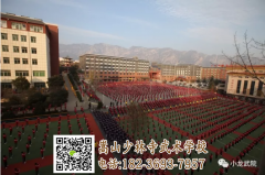 嵩山少林武術(shù)學(xué)校招生電話是多少？