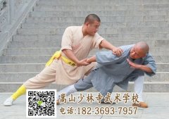 到嵩山少林武術學校學武學費貴嗎？