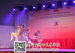 少林功夫跨越半個地球炫“武”斯里蘭卡！