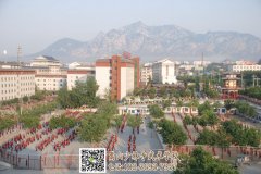 登封武術(shù)學(xué)校哪個更好？