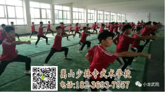網(wǎng)上報名嵩山少林武校有效嗎【少林武校招生】