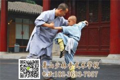 武術(shù)學(xué)校哪家好？家長應(yīng)該怎么選擇正規(guī)武校？