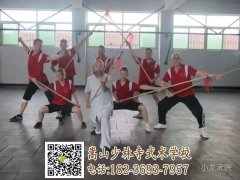 河南少林哪家武校比較好？