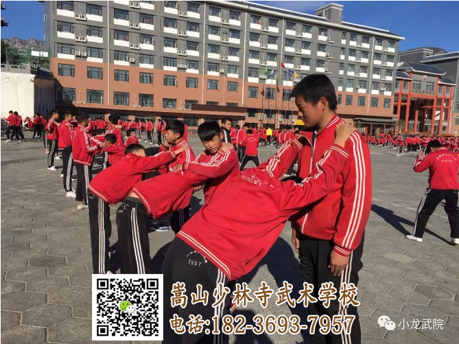 少林武術(shù)學校