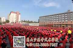 少林武術(shù)學(xué)校的招生標(biāo)準(zhǔn)有變嗎？【詳情查看招生簡(jiǎn)章】