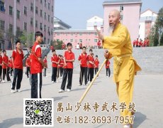 嵩山少林文武學(xué)校學(xué)費(fèi)是多少錢【少林直屬公辦學(xué)?！?>
  <h3><a href=