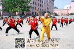 青少年適合去少林文武學(xué)校習(xí)武嗎