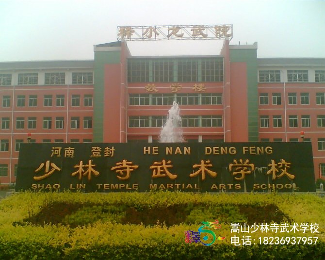 河南嵩山少林武術(shù)學(xué)校招生網(wǎng)站是哪個(gè)?