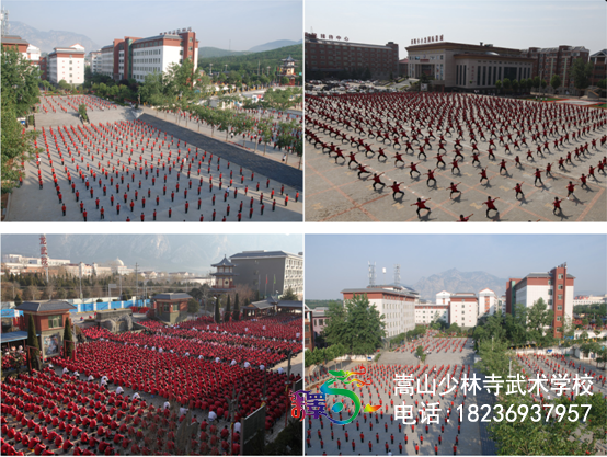 河南少林武術學校招生條件有什么要求