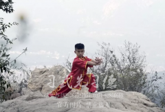 河南少林武校：武術(shù)，堅(jiān)持下去，終有收獲!