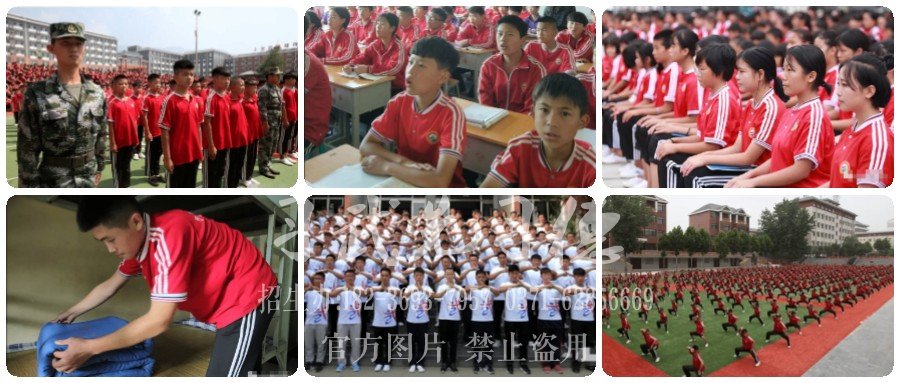 武術(shù)學(xué)院一年的費用是多少