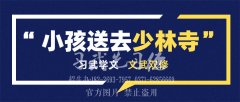 小孩送去少林讀書好不好【全國同步教學(xué)】