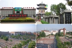 我想學(xué)武，去河南的哪家少林文武學(xué)校好呢？