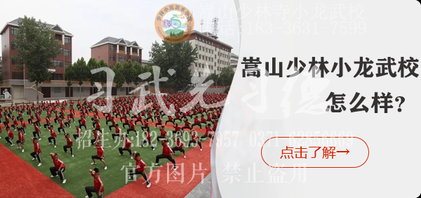 鄭州武術(shù)學(xué)院