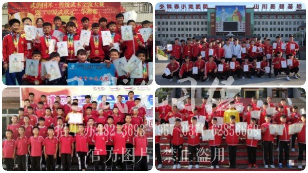 在嵩山少林武校學(xué)功夫一年多少錢